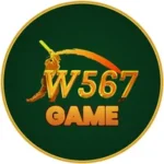 W567 Game